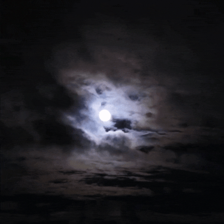 Egyszemes HD éjjellátó távcső