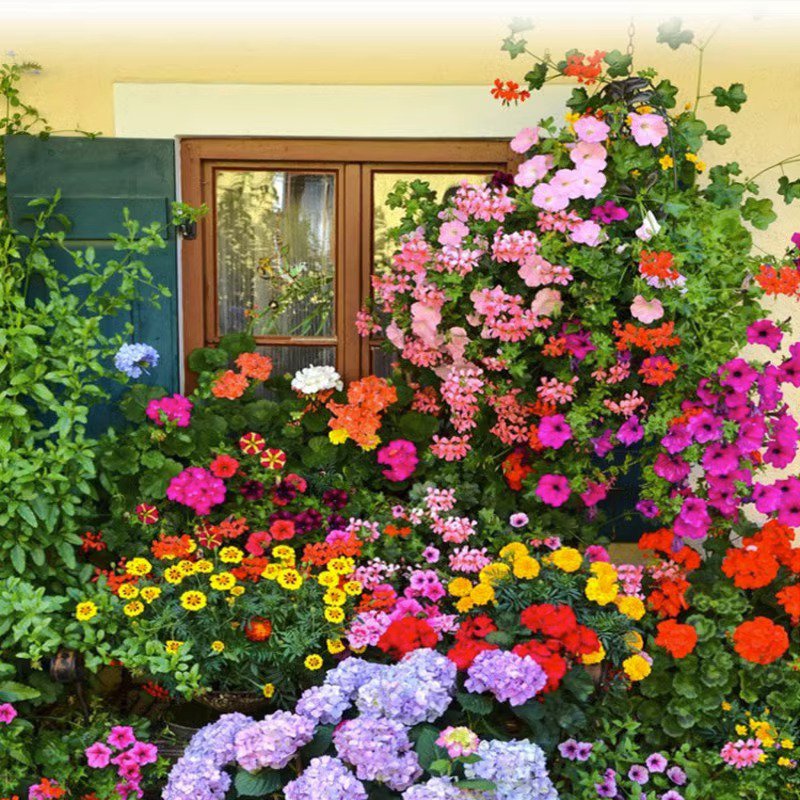 【Négyszezonos virágzás】Virágmező magkeverék 🌼