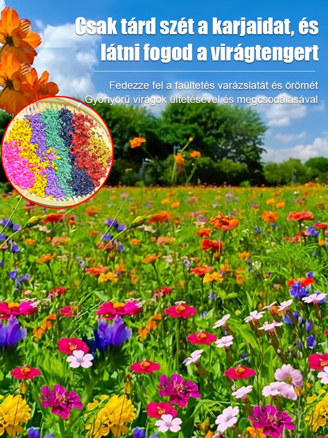 【Négyszezonos virágzás】Virágmező magkeverék 🌼
