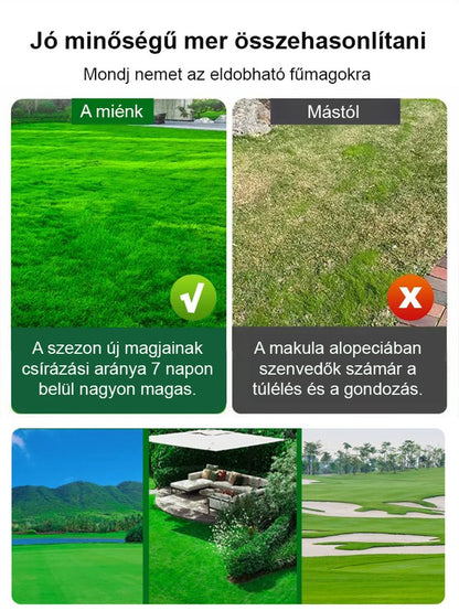 7 napos, gyorsan növő zöld fű egész évben