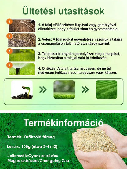 7 napos, gyorsan növő zöld fű egész évben