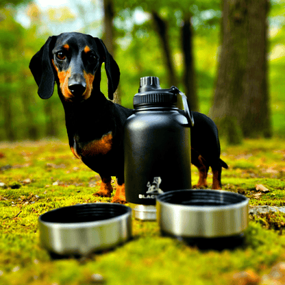 👍👍Hordozható etető-itató palack kutyáknak👍👍