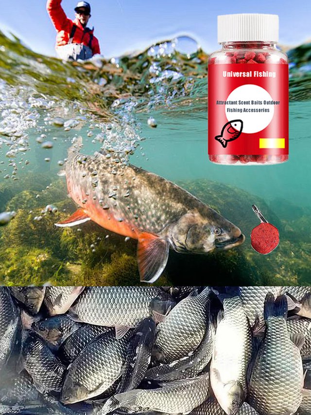 [Fogj halat másodpercek alatt] Továbbfejlesztett ízű horgászcsali