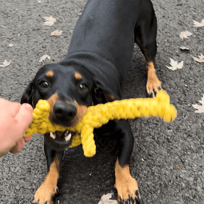 👍👍Hordozható etető-itató palack kutyáknak👍👍