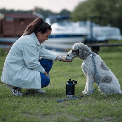 👍👍Hordozható etető-itató palack kutyáknak👍👍