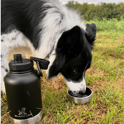 👍👍Hordozható etető-itató palack kutyáknak👍👍