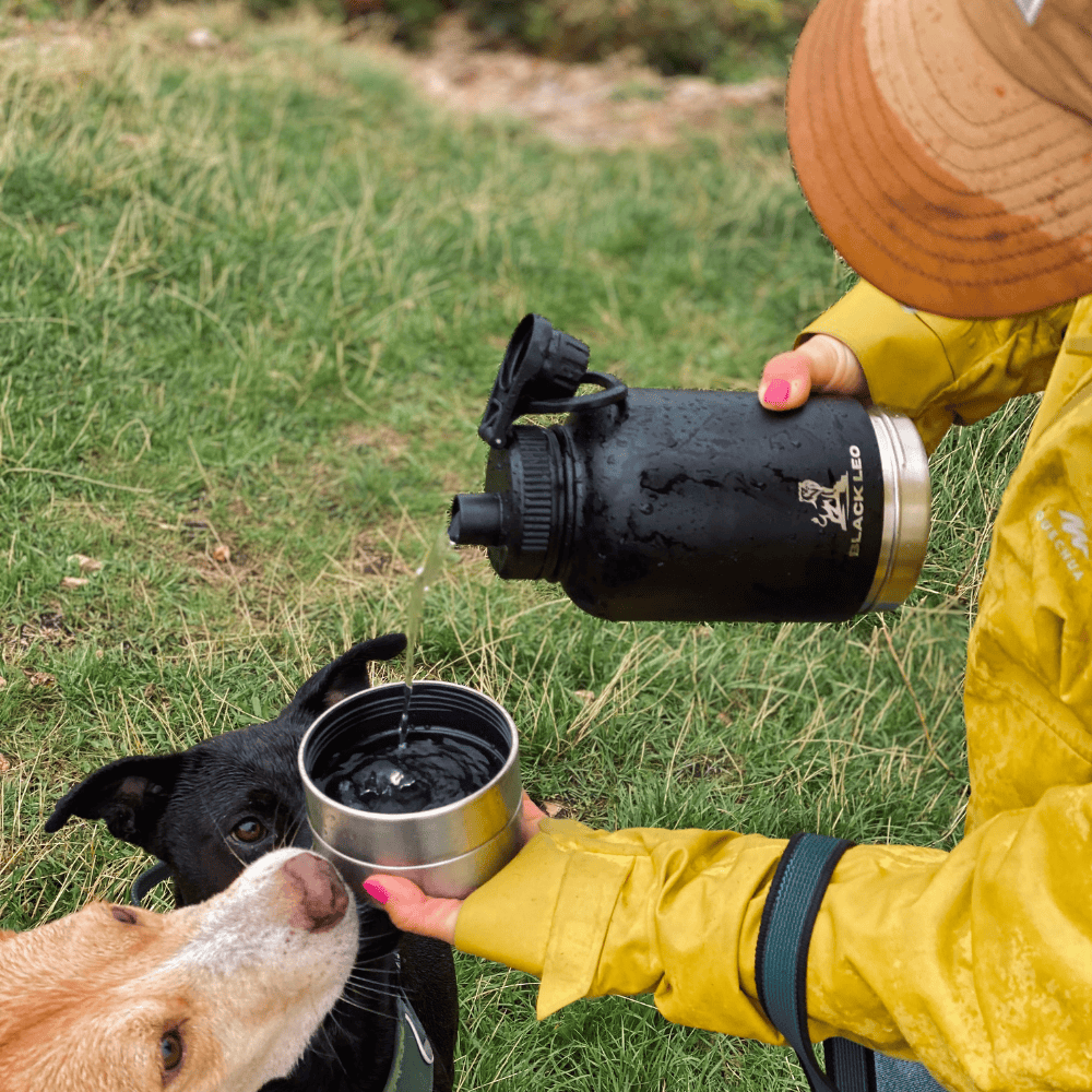👍👍Hordozható etető-itató palack kutyáknak👍👍