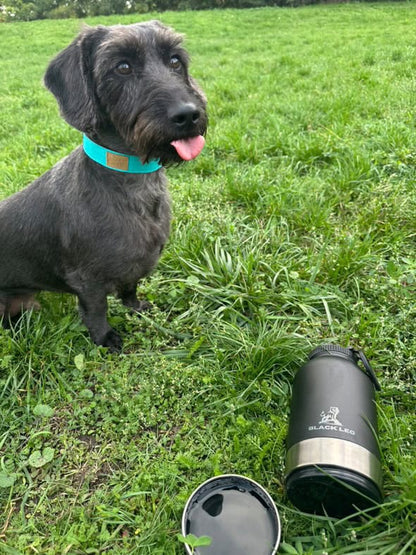 👍👍Hordozható etető-itató palack kutyáknak👍👍