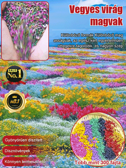 【Négyszezonos virágzás】Virágmező magkeverék 🌼