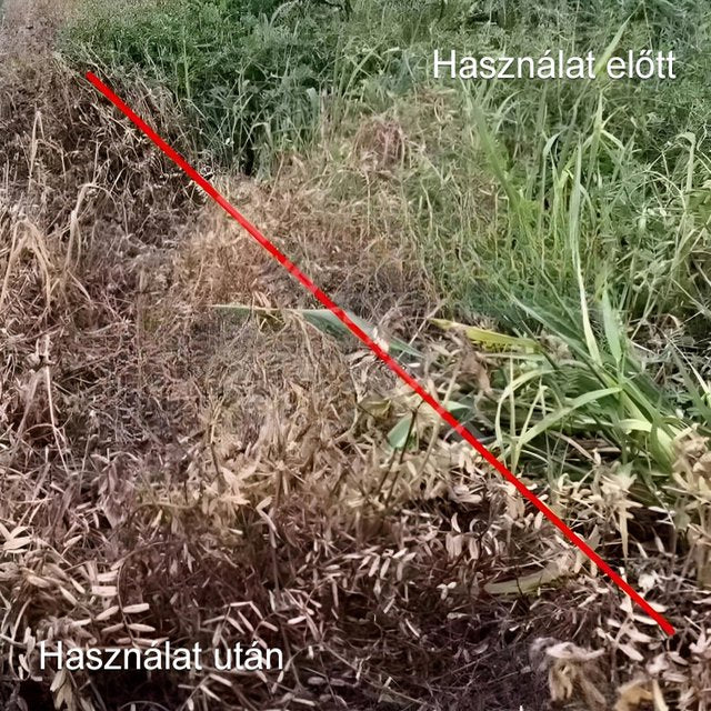 Oxamidofosz gyomirtó szer magas koncentrációja