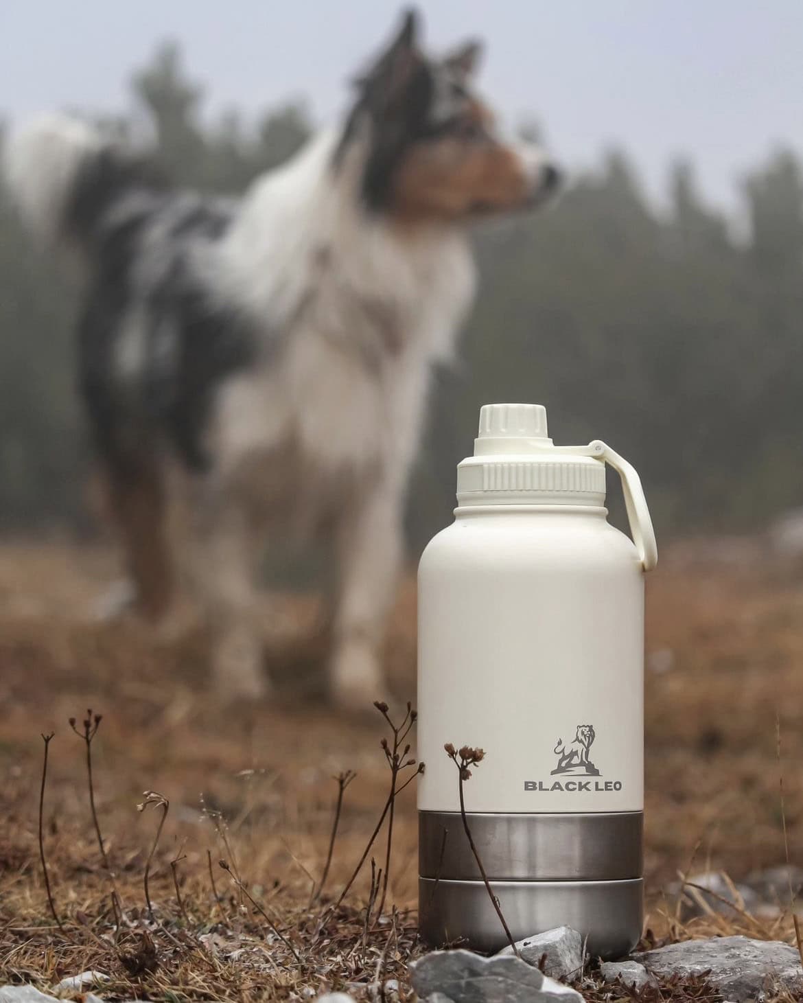 👍👍Hordozható etető-itató palack kutyáknak👍👍